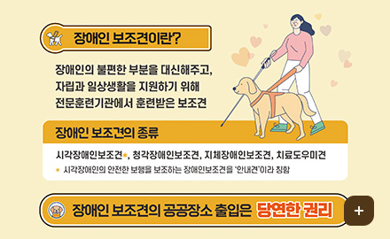 장애인 보조견이란?
장애인의 불편한 부분을 대신해주고,
자립과 일상생활을 지원하기 위해
전문훈련기관에서 훈련받은 보조견
장애인 보조견의 종류
시각장애인보조견*, 청각장애인보조견, 지체장애인보조견, 치료도우미견
* 시각장애인의 안전한 보행을 보조하는 장애인보조견을 '안내견'이라 칭함
장애인 보조견의 공공장소 출입은 당연한 권리
더보기